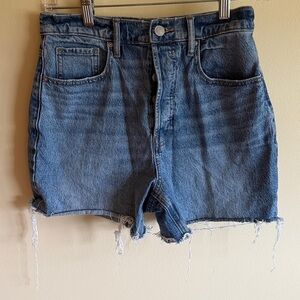 PacSun Denim Shorts